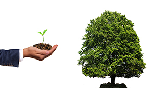 Cultivating Forbearance
