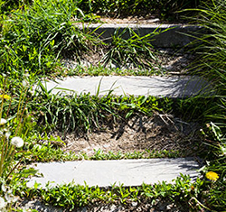 Gradual Path