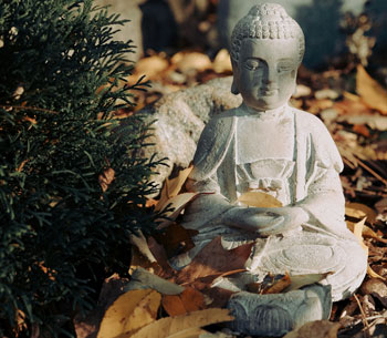 Buddha statue on leaves