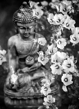 Buddha statue